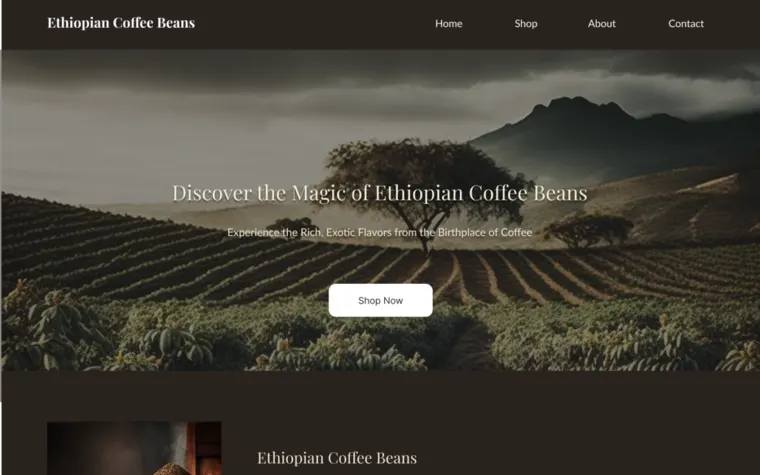 Ethiopian Coffee Beans website